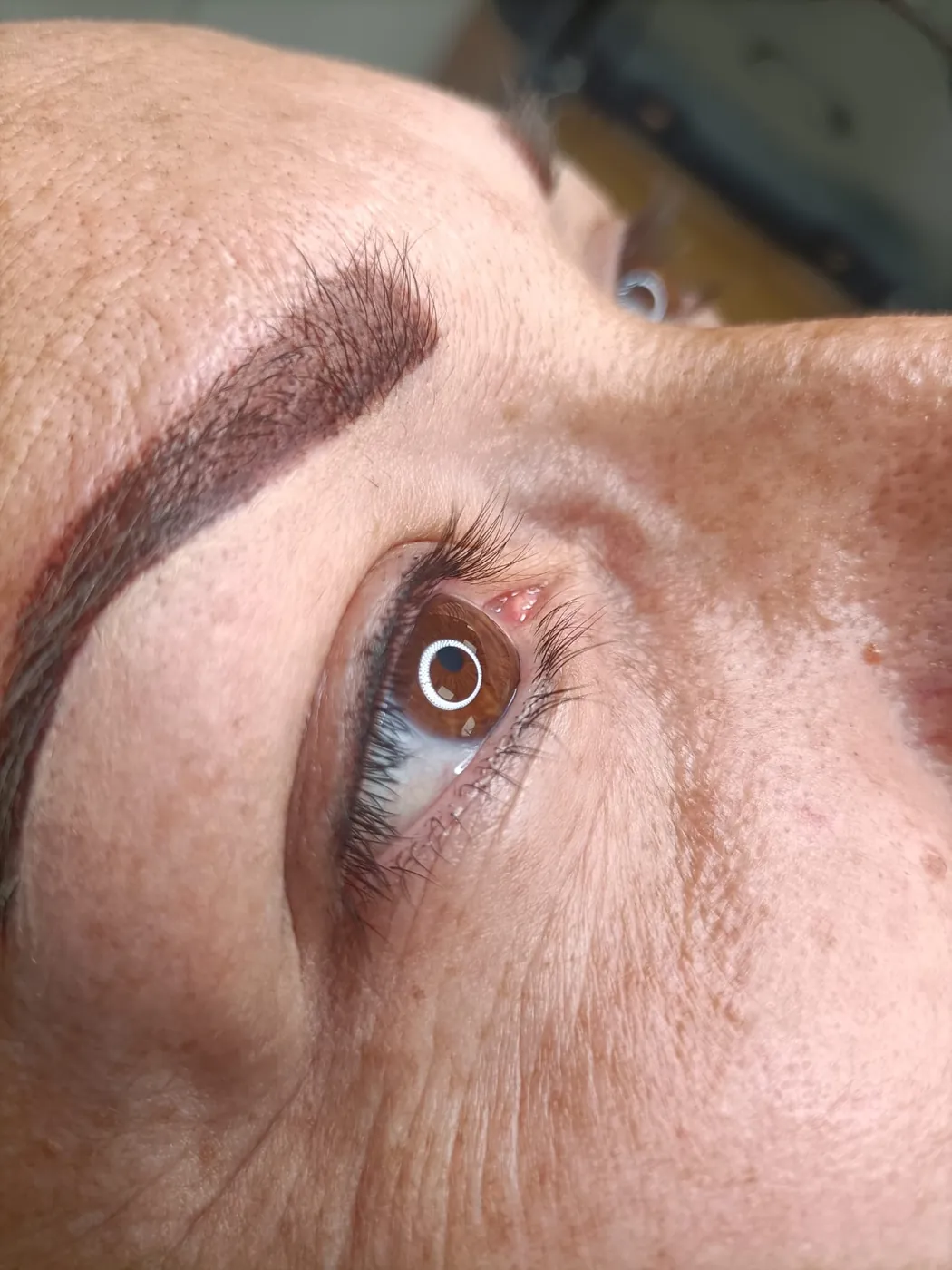 Sopracciglia: Shining Brown Brows